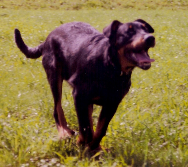 Atka De La Terre Sacrée De Marius