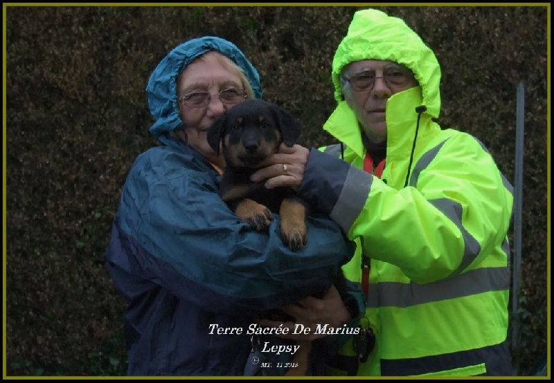 Lepsy De La Terre Sacrée De Marius