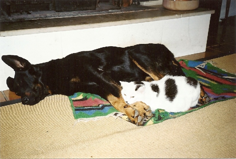 Cachou De La Terre Sacrée De Marius