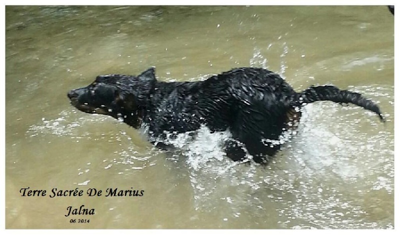 Jalna De La Terre Sacrée De Marius