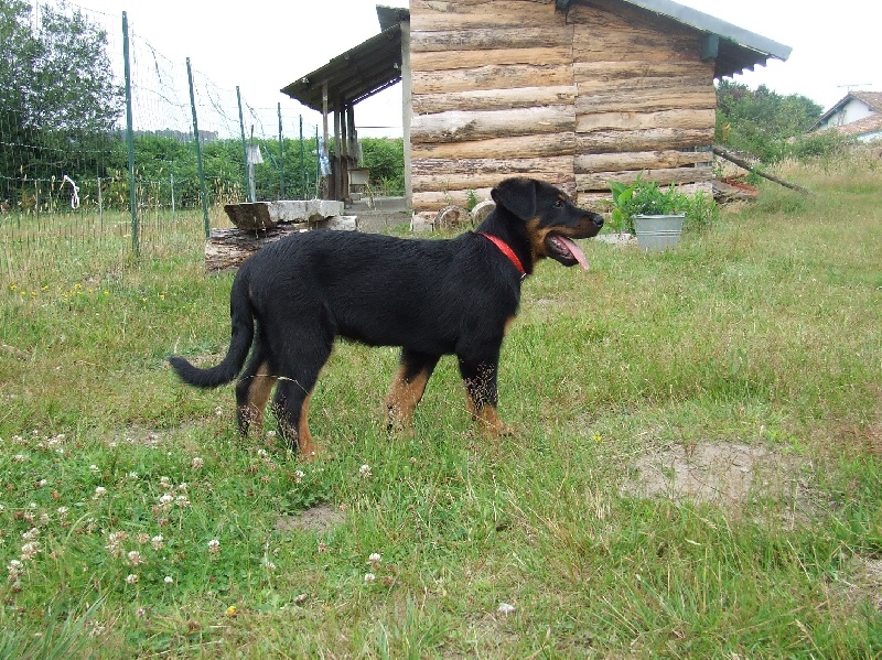 Feraud De La Terre Sacrée De Marius