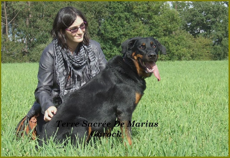 Garock De La Terre Sacrée De Marius