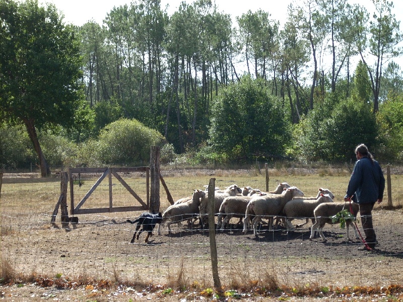 Feraud De La Terre Sacrée De Marius