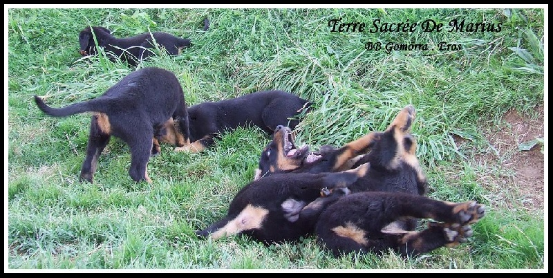 Jaïtook De La Terre Sacrée De Marius