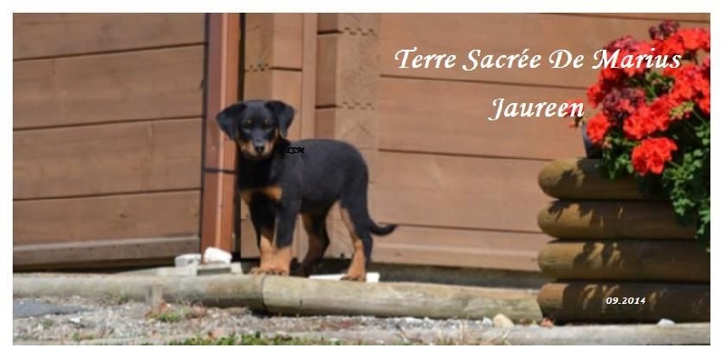 Jaureen De La Terre Sacrée De Marius