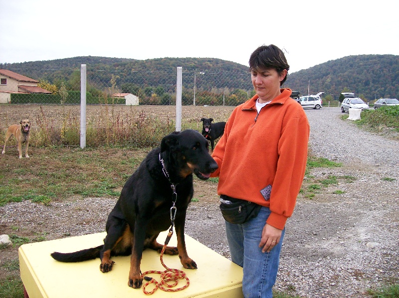 Vyann De La Terre Sacrée De Marius