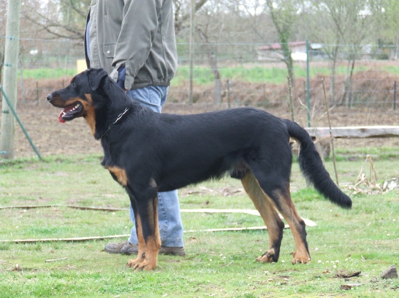 Feraud De La Terre Sacrée De Marius