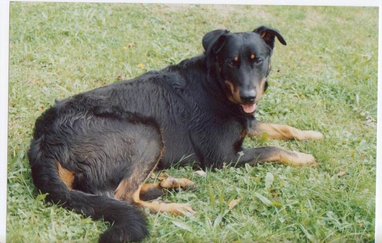 Atka De La Terre Sacrée De Marius