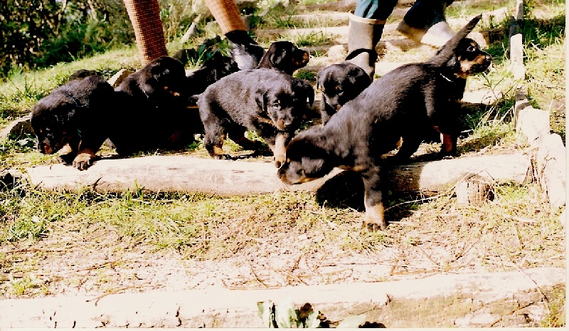 Uxmal De La Terre Sacrée De Marius