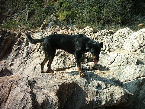 Akola De La Terre Sacrée De Marius