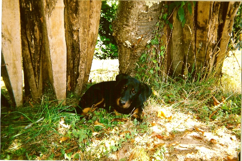 Abaca De La Terre Sacrée De Marius