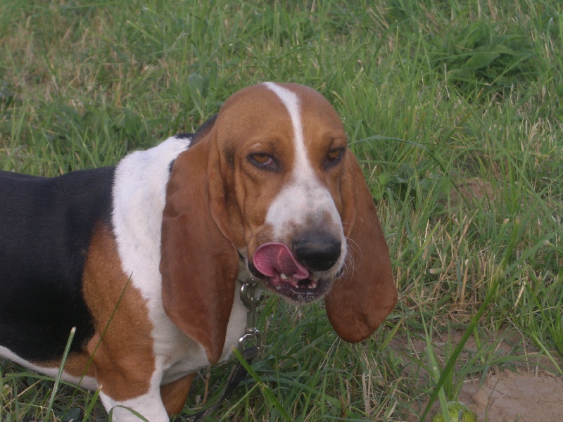 Artiste de la petite dordogne