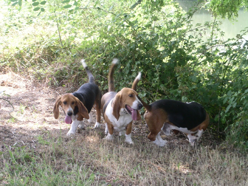 Azzaro de la petite dordogne