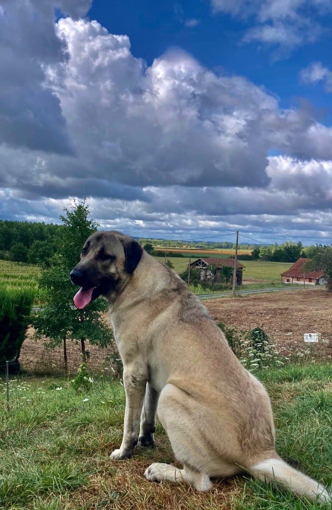 Trayvord des terres correziennes