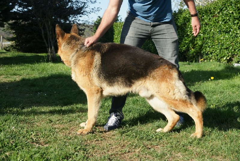 Fudge Du mazet des salins