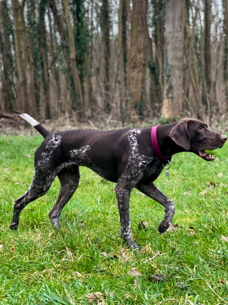 Lea du domaine du framire