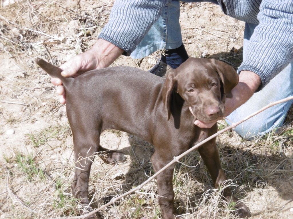 Lea du domaine du framire