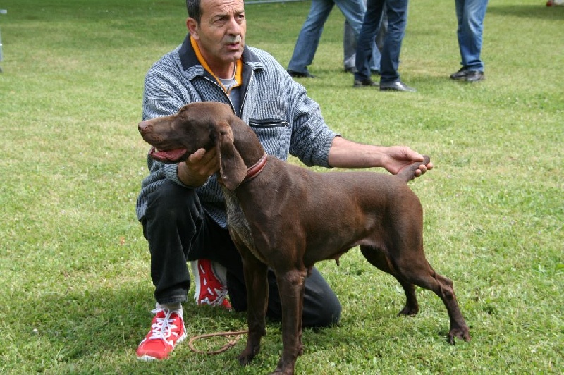 Evita du mas de l'arbre