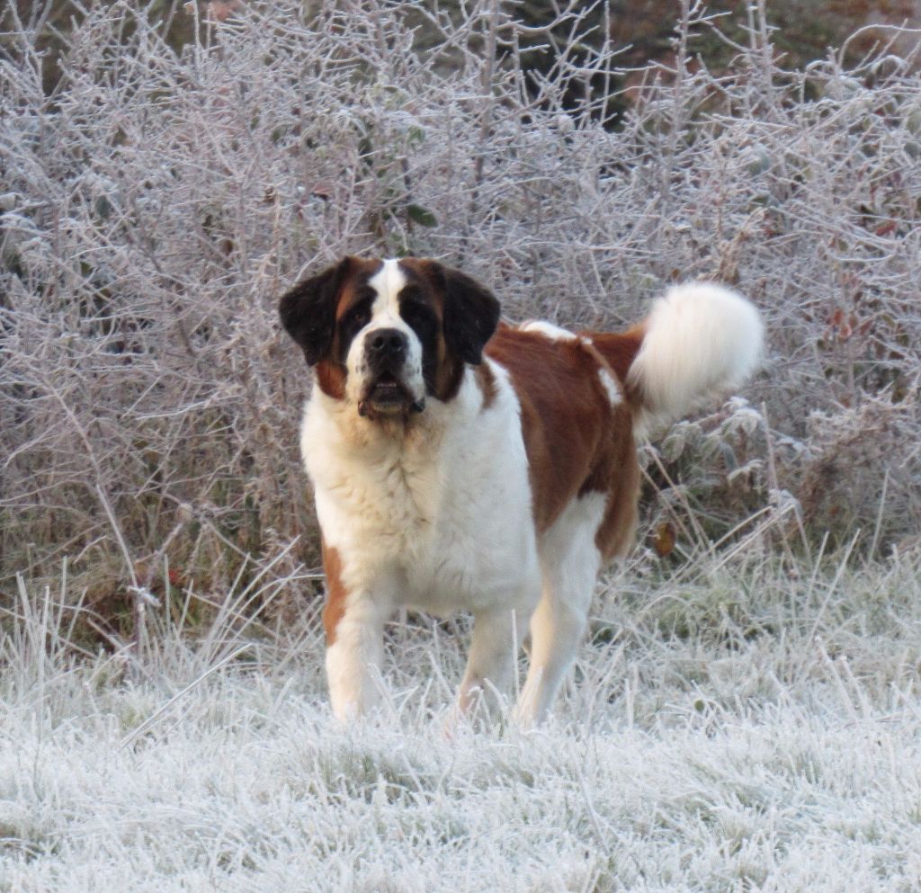 Lilou De La Route De La Source