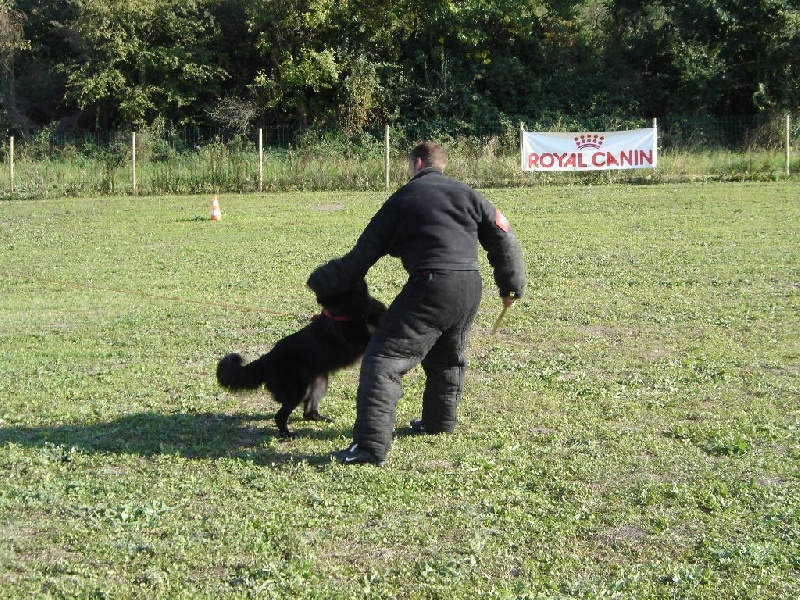 Tex ** Du champ boulet (ancien)