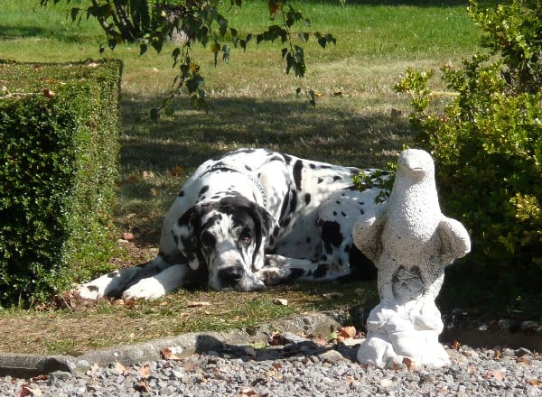 Samsara des Varennes Mystiques