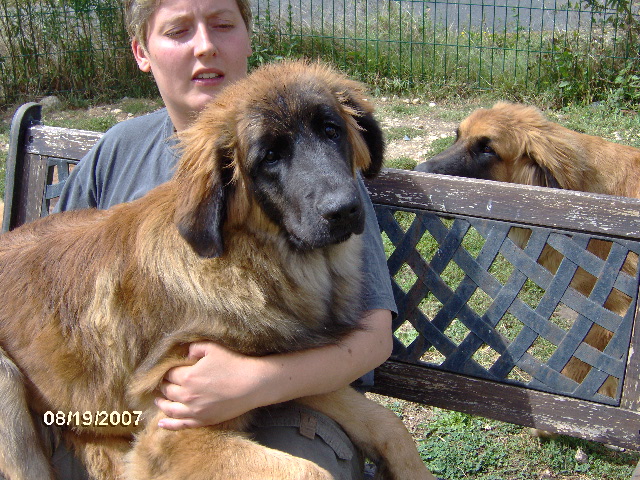 Cassandra des Lions de Tambacounda