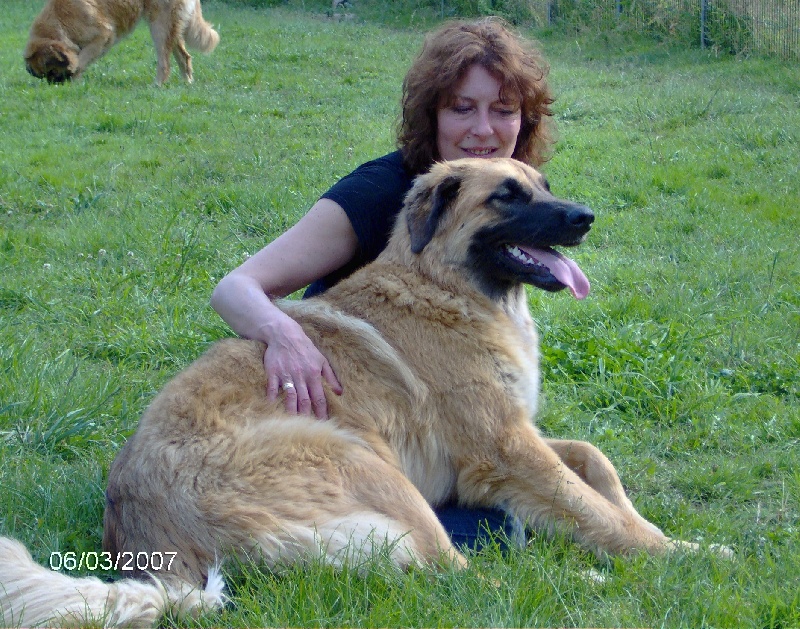 Britney des amours de léos