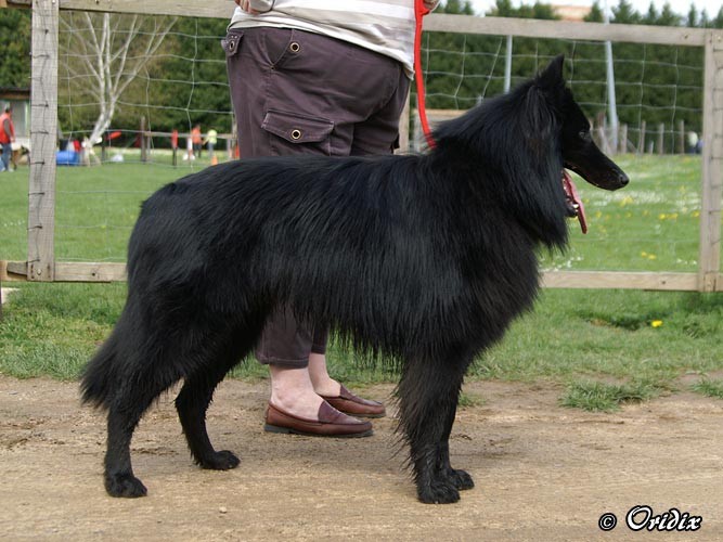 Balkan des perles noires