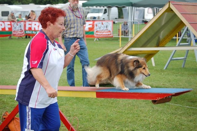 Une idylle avec toi Du Grand Champ D' Aubertans