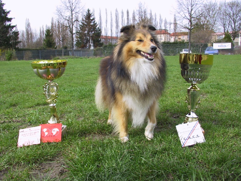 Une idylle avec toi Du Grand Champ D' Aubertans