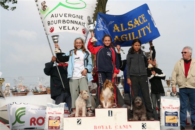 CH. Sharly brown Du Grand Champ D' Aubertans