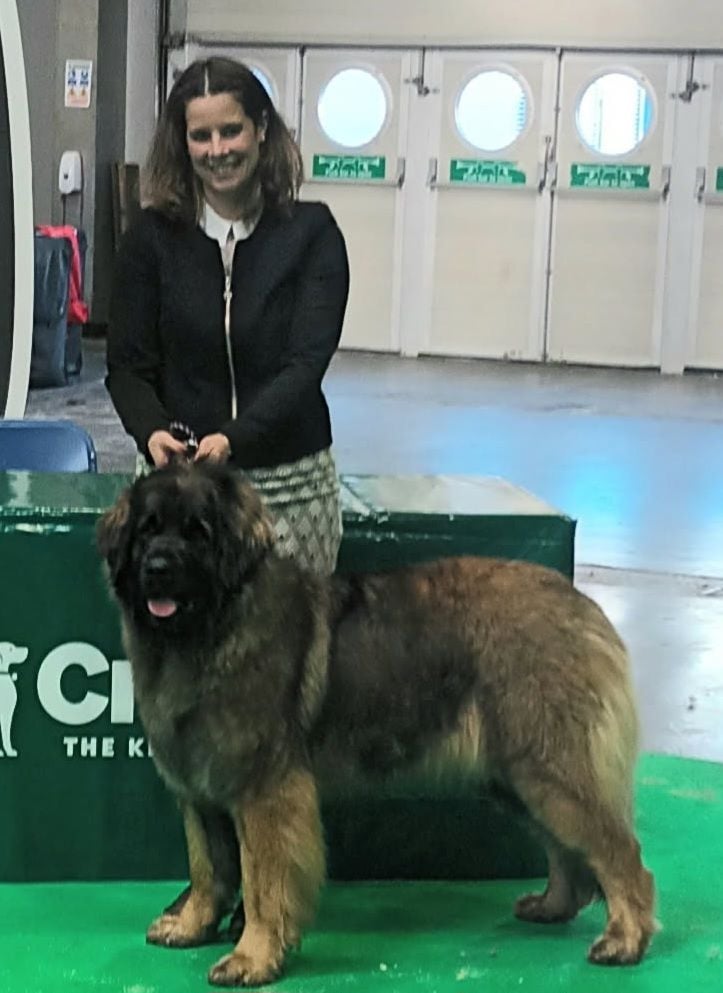 Shaïny Des Gardiens Des Lions