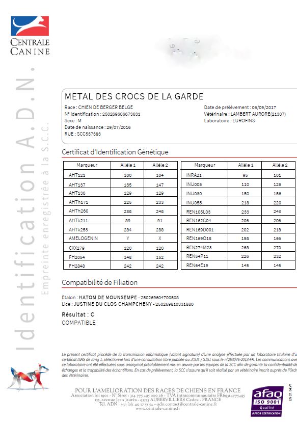 Métal Des Crocs De La Garde