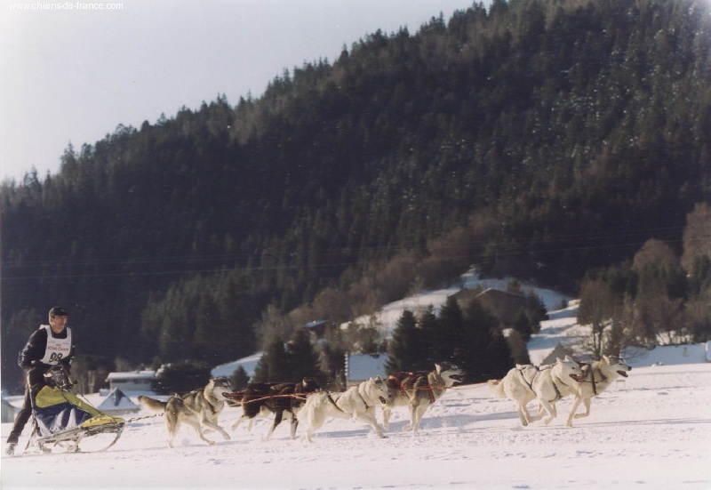 CH. Toundra des rèves polaires