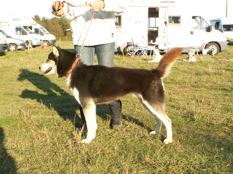 Valko des rèves polaires