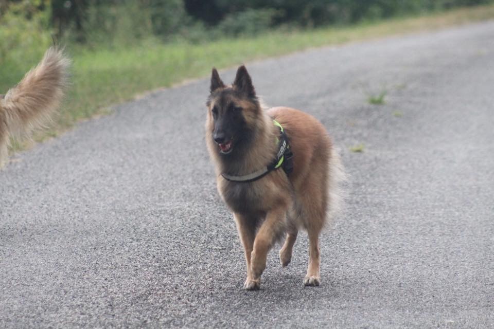 Merveille Du Domaine Des Pitchounes