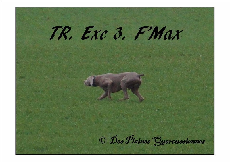 TR. F'max Titre Initial