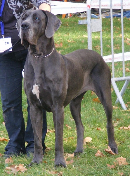 Akshaya de la Tour du Dauphiné