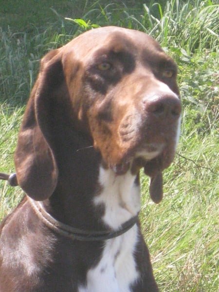 Etchaoun du vallon de Beaudini