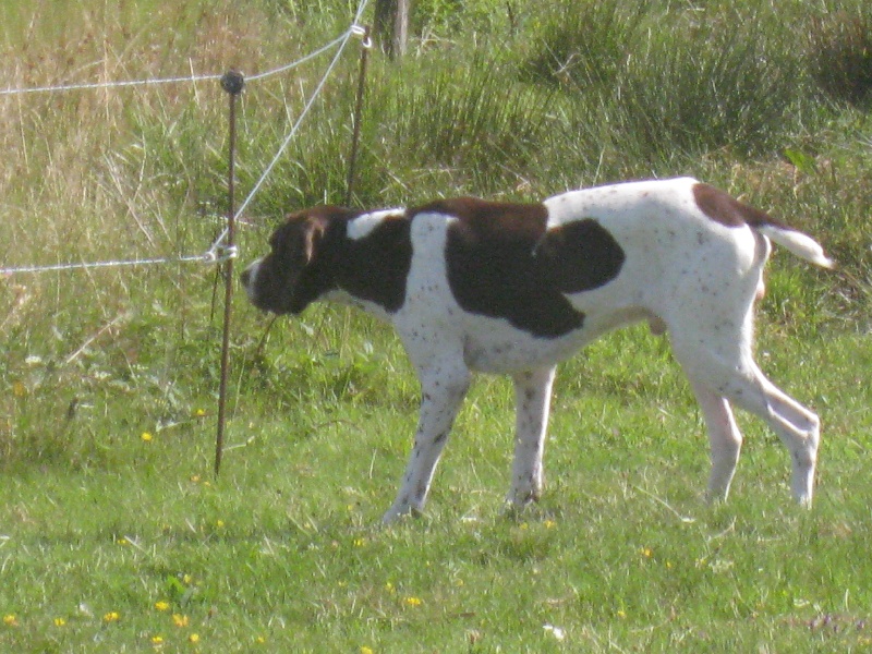 Etchaoun du vallon de Beaudini