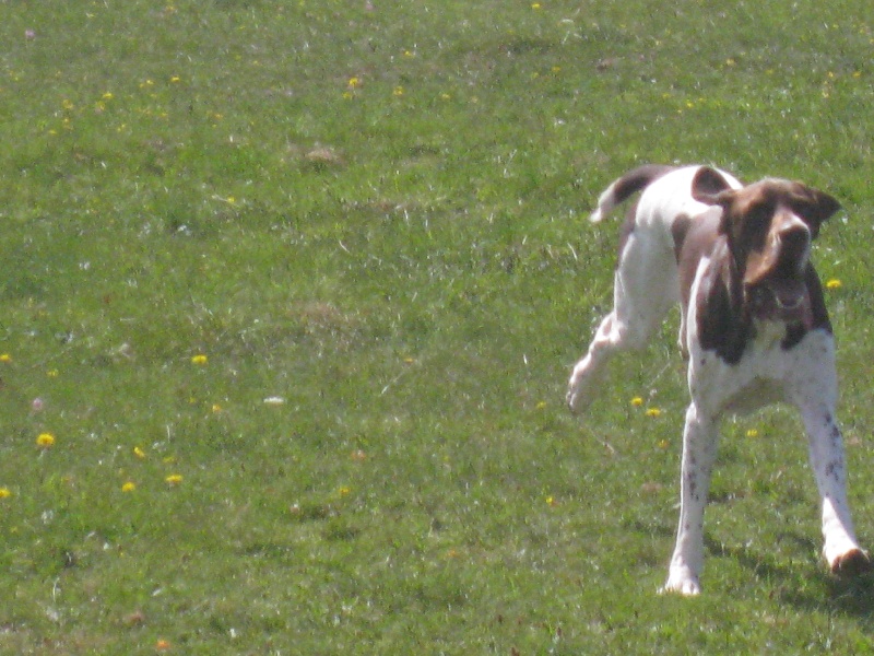 Etchaoun du vallon de Beaudini