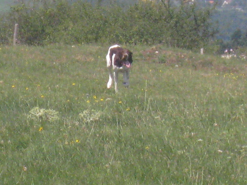 Etchaoun du vallon de Beaudini