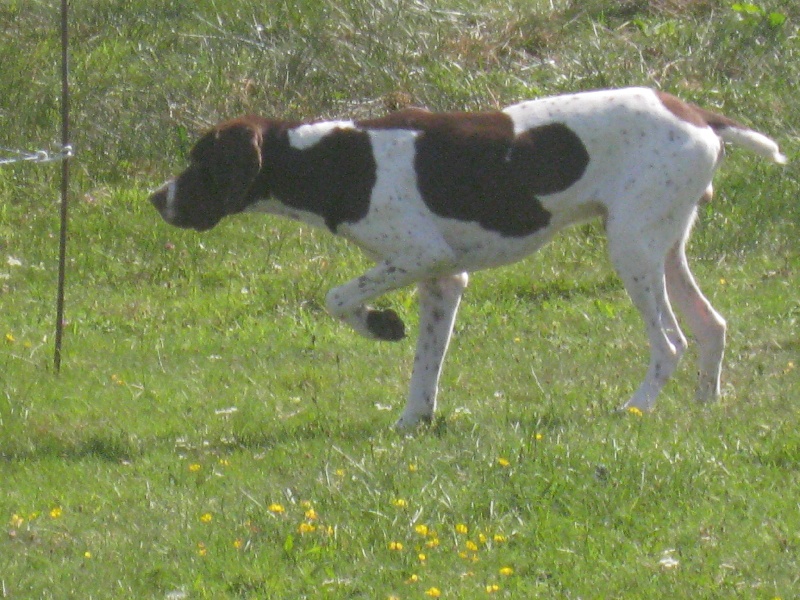 Etchaoun du vallon de Beaudini