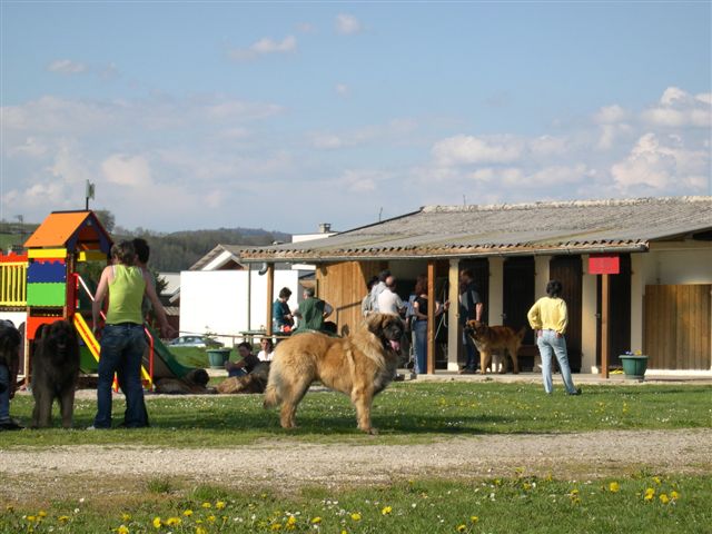 Vao koutoumo de l'aulp de fier