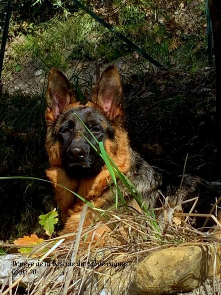 De la bastide du val de cagnes . maarkus x moussa