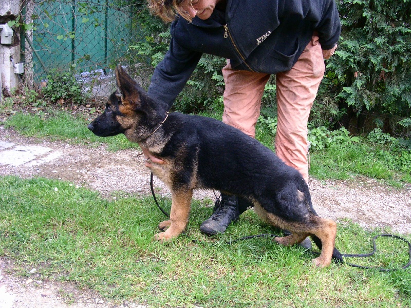 CH. Chryss De la bastide du val de cagnes