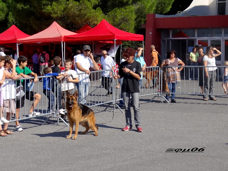 CH. F'kyd@ De la bastide du val de cagnes