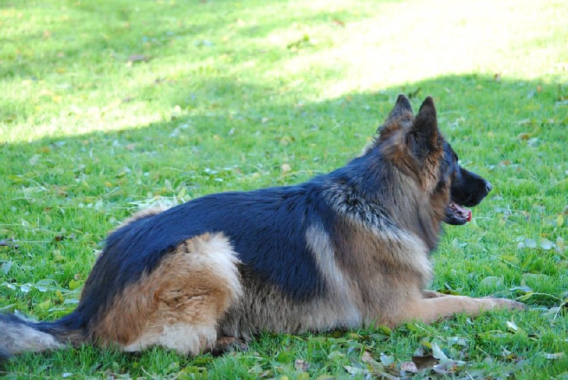 Guapa De la bastide du val de cagnes