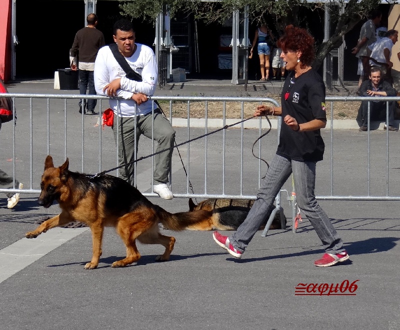 CH. F'kyd@ De la bastide du val de cagnes