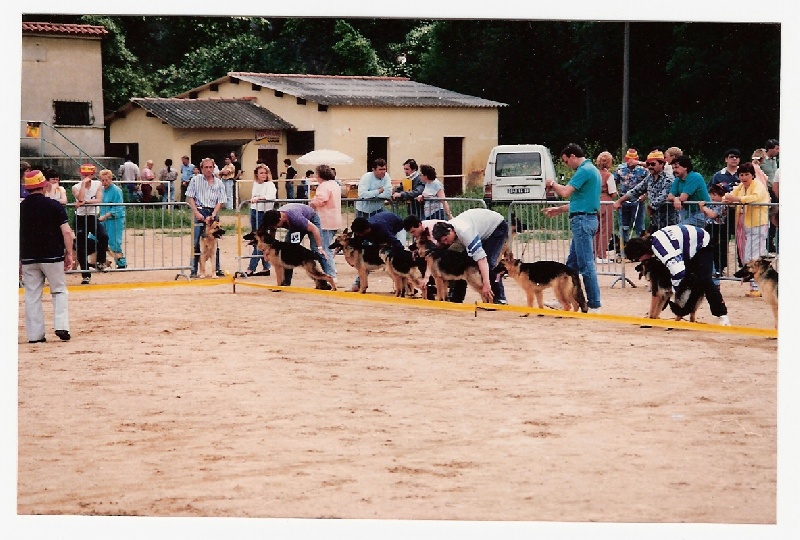 CH. Cocaine De la bastide du val de cagnes